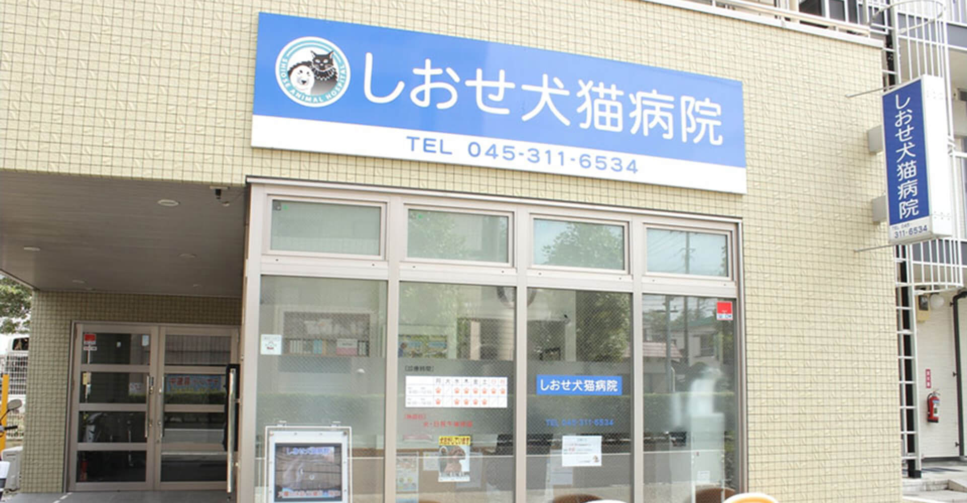 しおせ犬猫病院